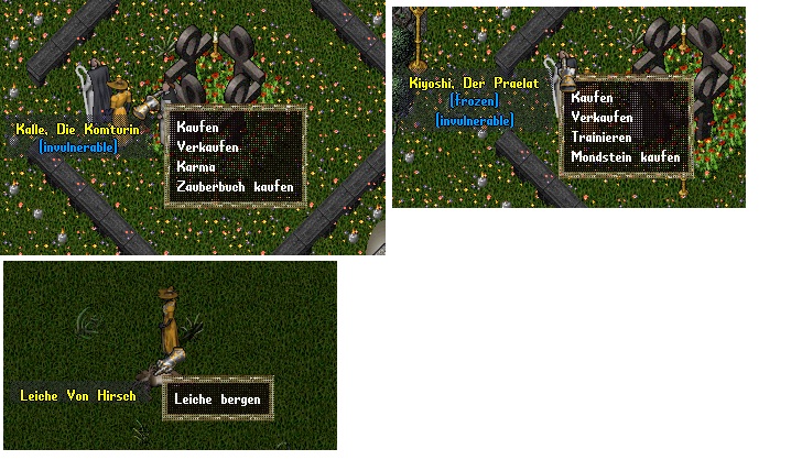 Window.jpg